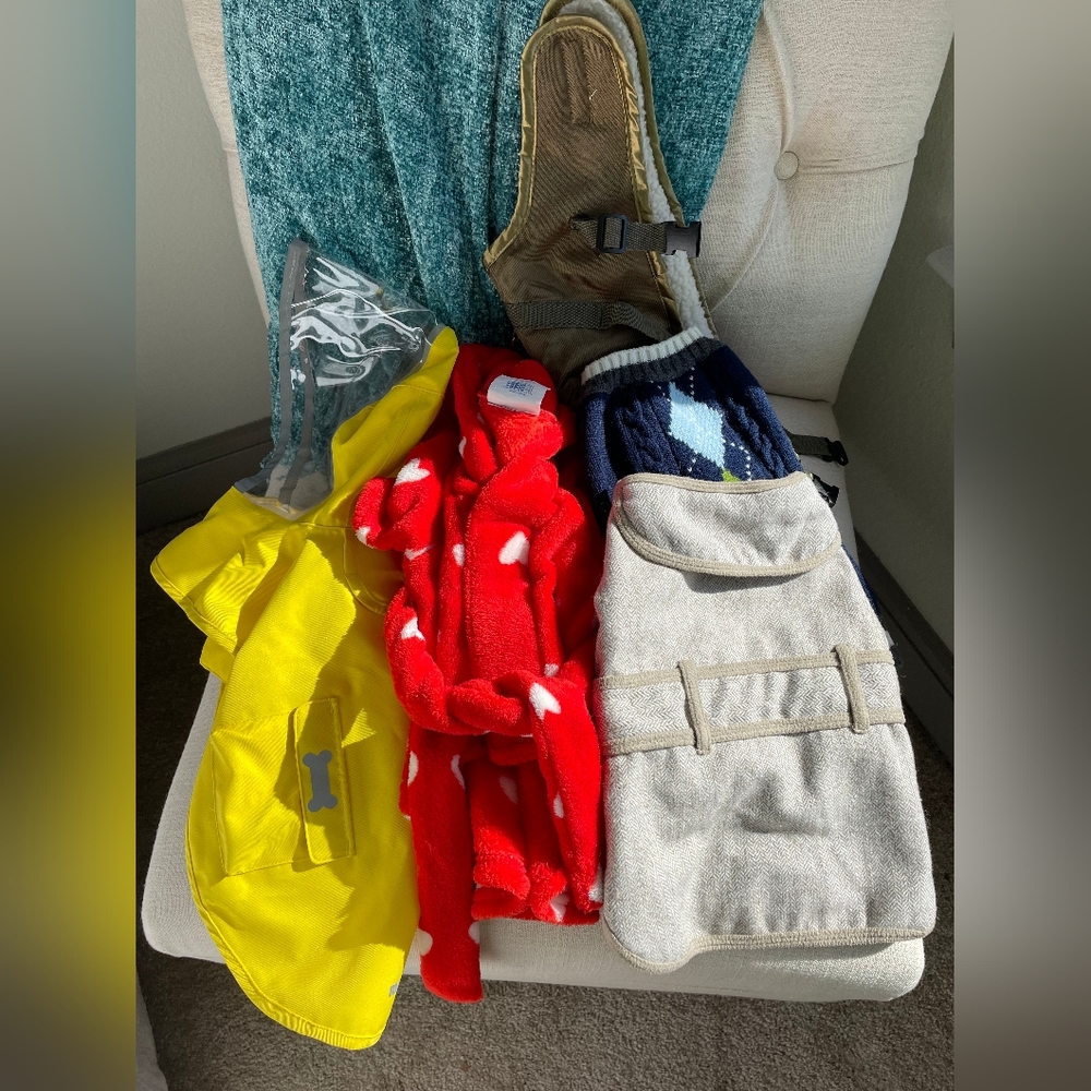 Lot of Medium Dog Apparel